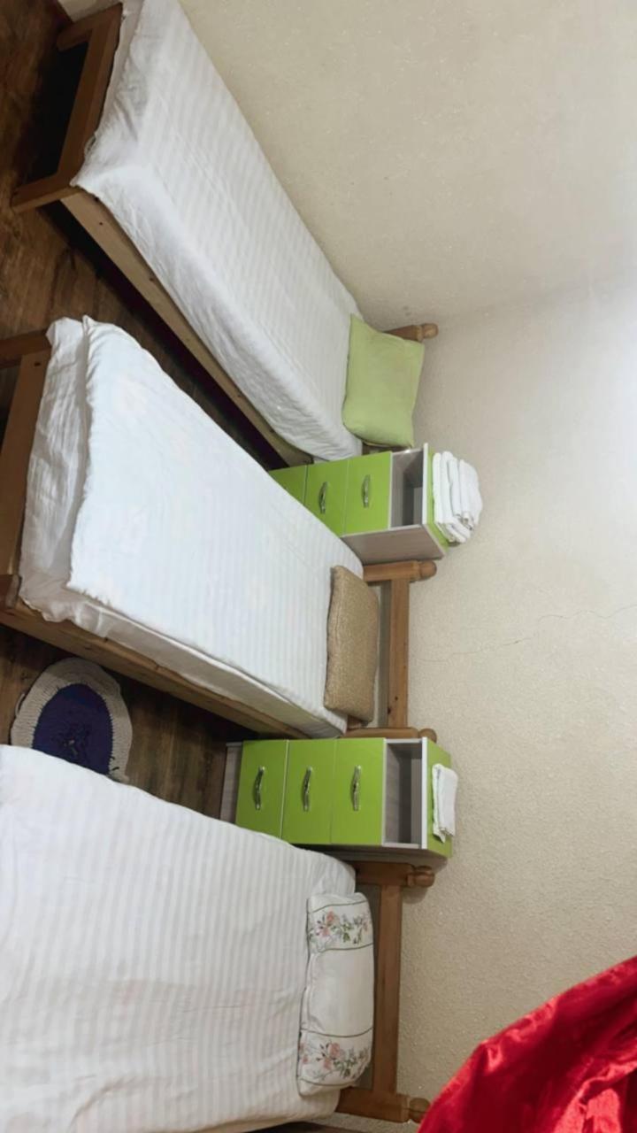 Rozalinda Guesthouse Naryn Exterior photo
